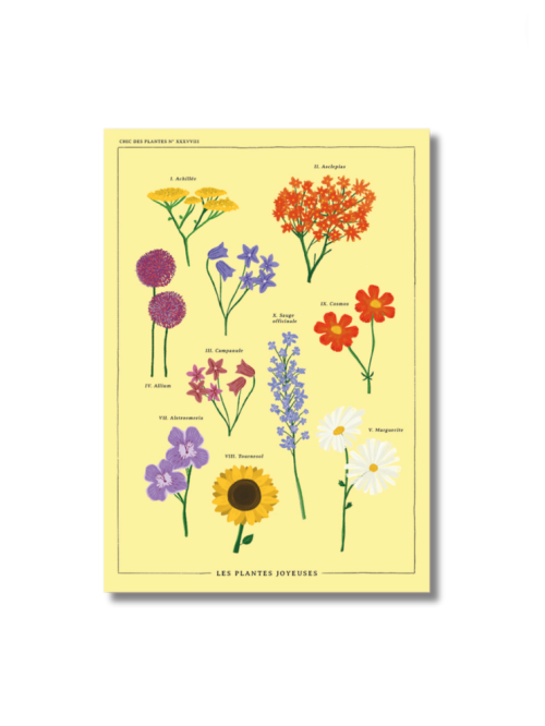 Cartes de voeux florales, création artistique - lot de 4, vente au